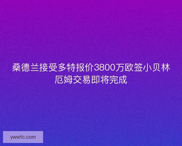 桑德兰接受多特报价3800万欧签小贝林厄姆交易即将完成 桑德兰接受多特报价3800万欧签小贝林厄姆交易即将完成