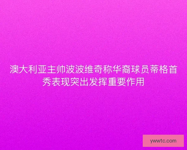 澳大利亚主帅波波维奇称华裔球员蒂格首秀表现突出发挥重要作用